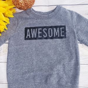 Koala Kids AWESOME Gray Sweatshirt Sweater 3T